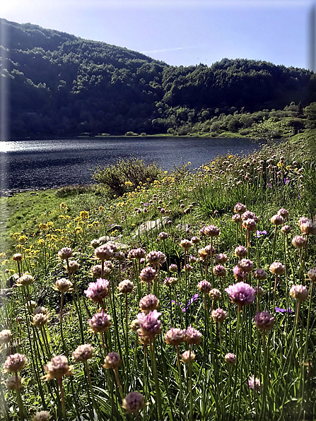 foto Parco dei Cento Laghi